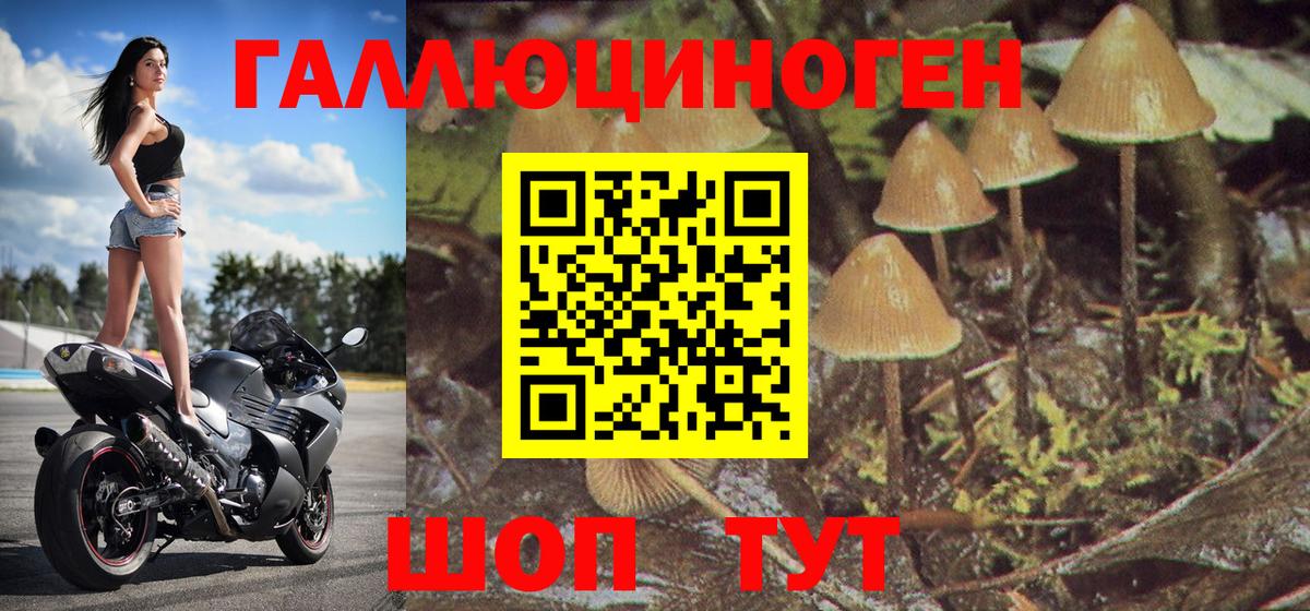 Галлюциногенные грибы Cubensis Белореченск